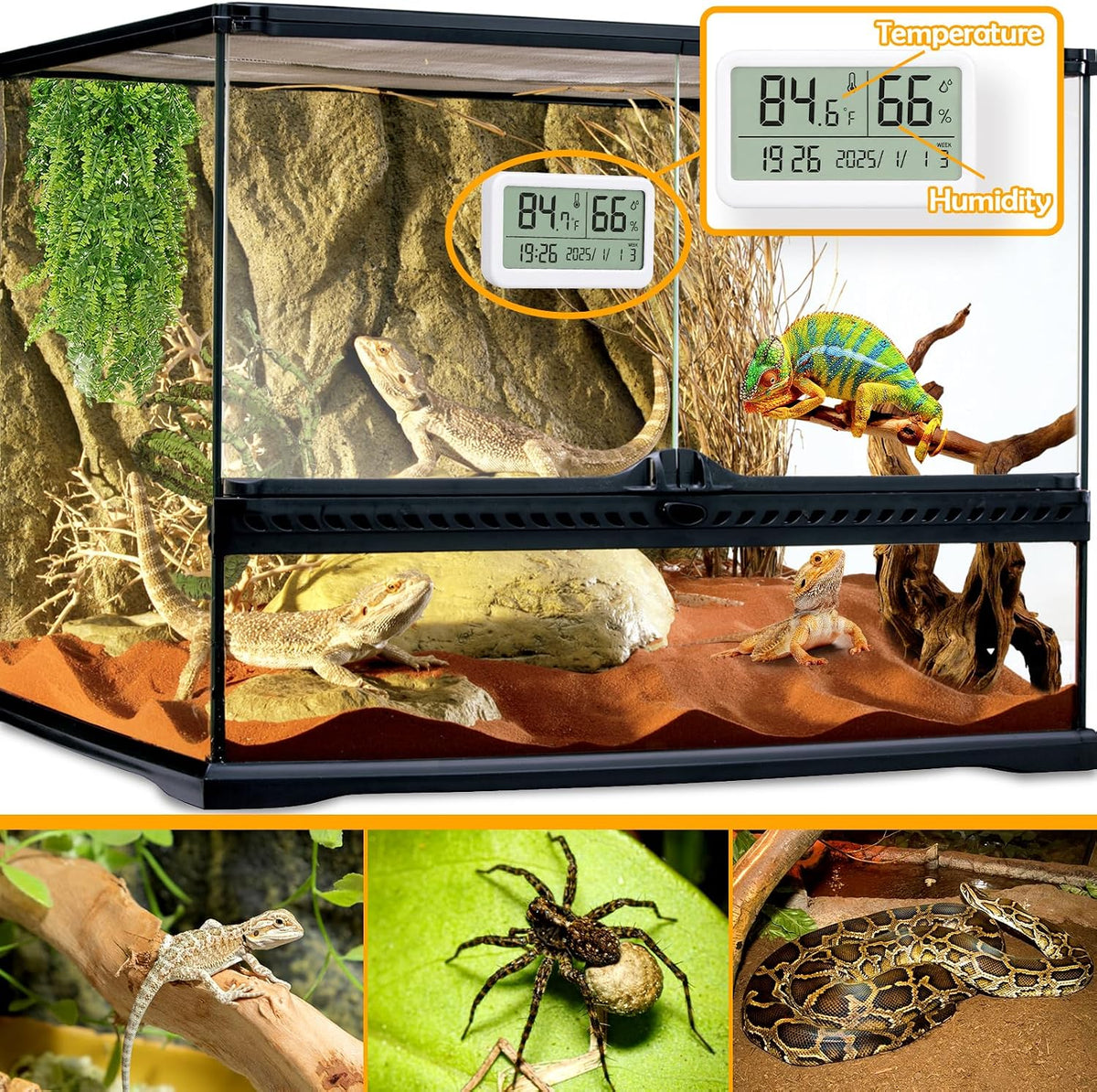 2 PCS Rectangle Reptile Thermometer and Humidity Gauge for Bearded - White Magnetic - image 2