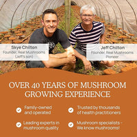 Real Mushrooms Cordyceps Mushroom Powder - Organic Cordyceps Powder Mushroom Energy and Wellness Support - Rich in Beta Glucans - Non-GMO, Vegan Supplement, 60 Servings