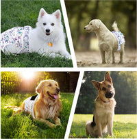 Reusable Dog Diapers Female Washable 3 Pack S Flowers for Heat – Essentials for Dogs - Dark Series / S(Newborn-11.5"Waist) / 3 - image 4