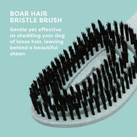 BioSilk for Pets Eco-Friendly Detangling Pin Brush for Dogs – Essentials for Dogs - Detangling Pin Brush / 1 Count (Pack of 1) - image 4