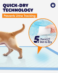 Powools Puppy Pads, Super Absorbent, Spill-Proof - 22" × 22" - 100 Packs - image 2