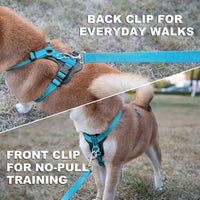 Plutus Pet No Pull Dog Harness with Leather Accents - S / Light Blue - image 3