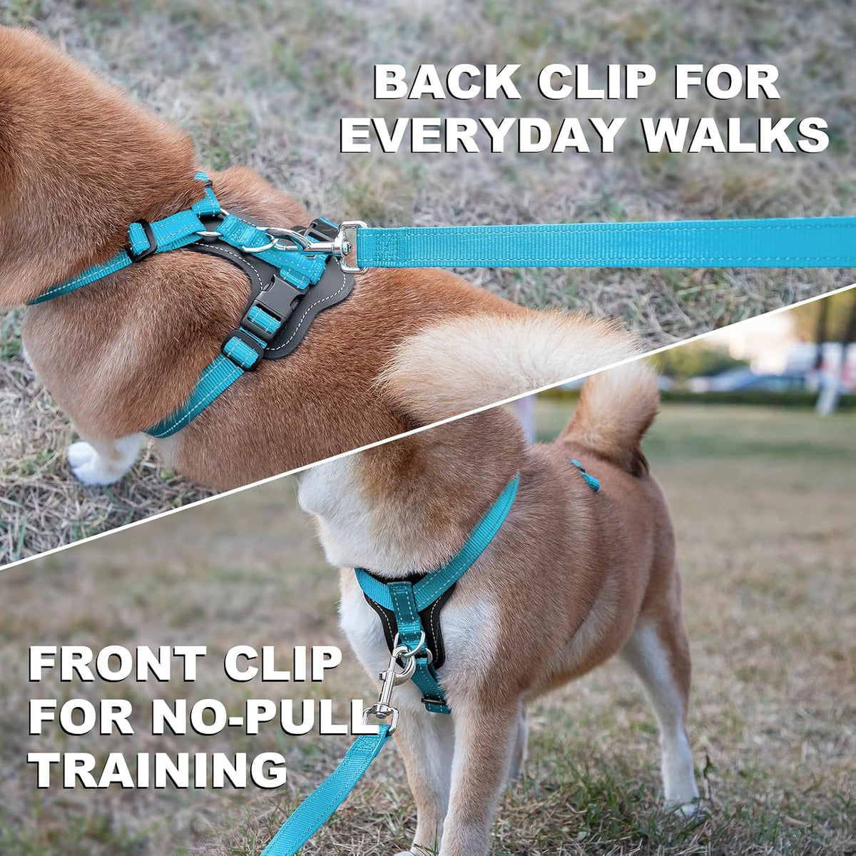 Plutus Pet No Pull Dog Harness with Leather Accents - S / Light Blue - image 3