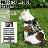 WINSEE Service Dog in Training Harness with 5 PCS Patches, Reflective Tactical Dog Vest Harness, Adjustable Soft Oxford Pet Harness with Easy Control Handle, Hook & Loop Panels for Walking Hiking