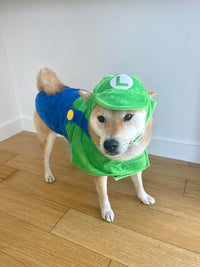 ComfyCamper Hat and Suspenders Dog Costume - Medium / Green - image 3