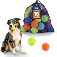 Colorful Tennis Balls for Dogs, Non Squeaky - Small-2in / 16P
