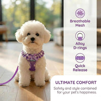 SuperBuddy Upgraded Soft Mesh Dog Harness - M (Neck Girth 13"; Chest Girth: 13"-18.5") / Purple-2 - image 4