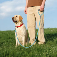 Mile High Life Dog Leash, with Padded Handle - Turquoise / 4 Feet - image 2