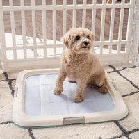 IRIS USA Pee Pad Holder - For Potty Training Regular Sized Dog & Puppy Pee Pads, Secured Latches, Non-Skid Feet, Leak Protection, Fits 22"x22" Pad or Larger, Square, Blue
