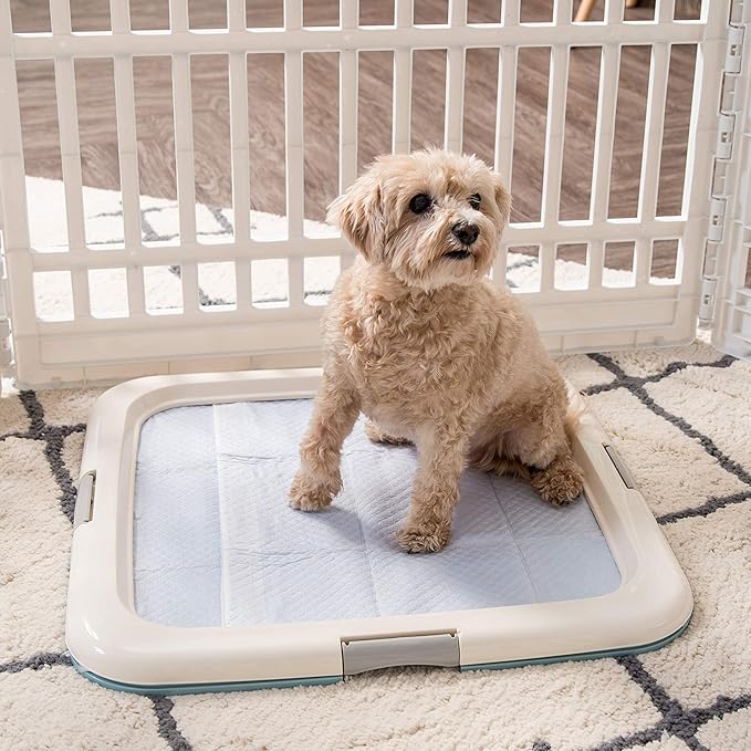 IRIS USA Pee Pad Holder - For Potty Training Regular Sized Dog & Puppy Pee Pads, Secured Latches, Non-Skid Feet, Leak Protection, Fits 22"x22" Pad or Larger, Square, Blue
