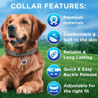 Reflective Neoprene Padded Dog Collar with Quick Release Buckle – Essentials for Dogs - Gray / XX-Small - image 3