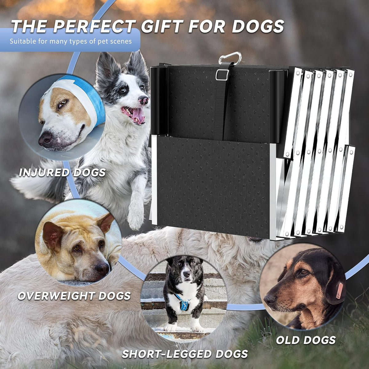 Dog Stairs for Large Dogs - 6-Steps / 16" W x 38-43" H - image 4