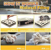 Cat Scratch Puzzle Enrichment Box - image 3
