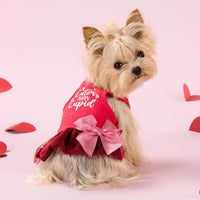 Fitwarm Halloween Skeleton Dog Dress - Large / Red - image 2