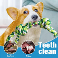 UPSKY 2 Pack Dog Rope Toys - B-Blue&Green - image 4