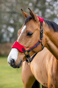 LeMieux Vogue Fleece Headcollar - Halter & Leadrope - Extra Padding, Adjustable at Curb and Poll Strap