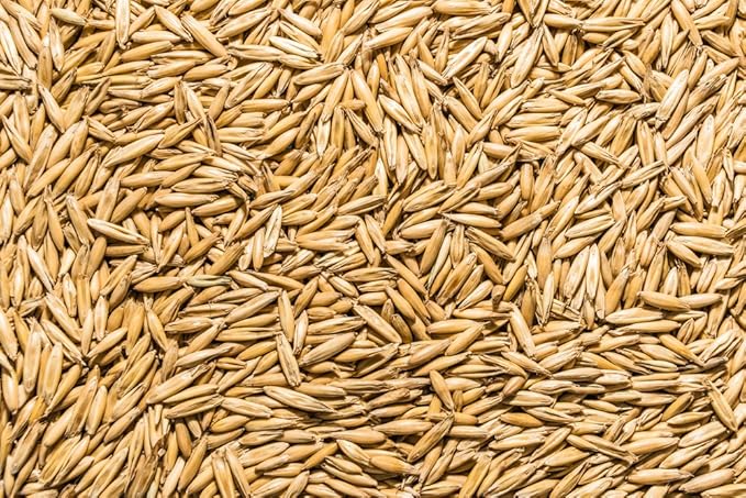 Thunder Acres Non GMO, Certified Organic, Oat Seed (1/2 lb.)