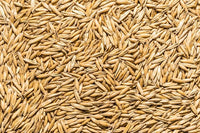 Thunder Acres Non GMO, Certified Organic, Oat Seed (1 lb.)