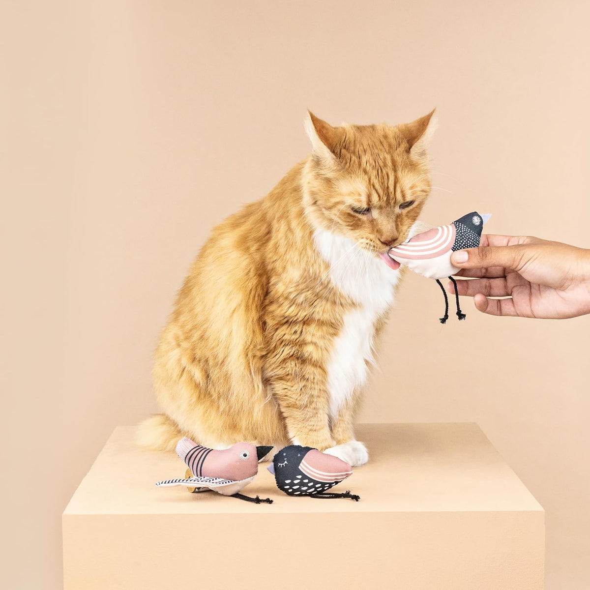 Fringe Studio, Off THE Scales Durable Cotton Canvas Cat Toy - Under My Wings - image 2