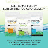 Blackwood Bounty Dry Cat Food, Whitefish & Lentil Recipe for All Life Stages, 2 Pound Bag, High Protein, Grain Free (Pack of 4)