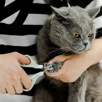 Mr. Pen Cat Nail Trimmer - Light Beige, Also Suitable for Kittens and Small Dogs - Cat Claw Trimmer