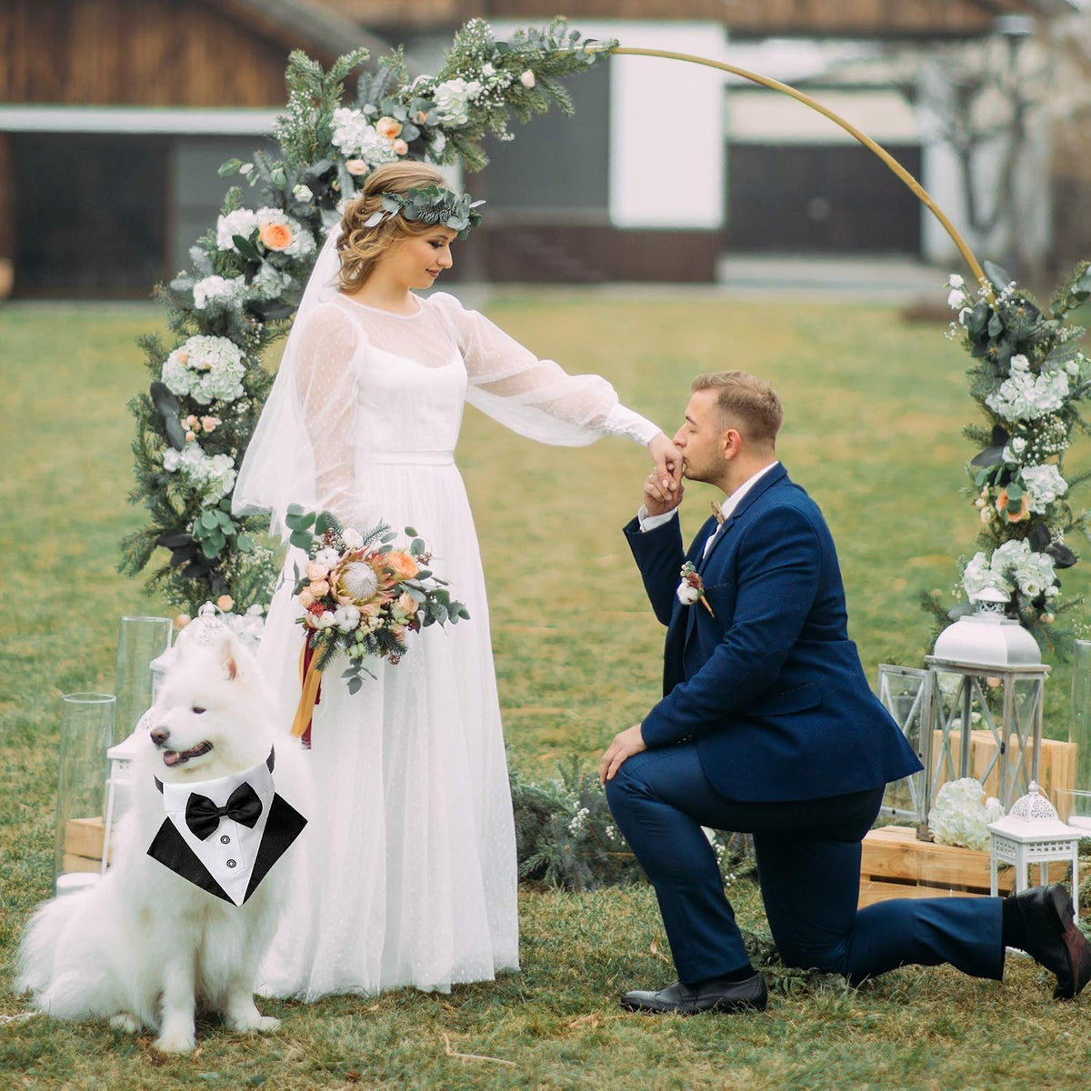 ADOGGYGO Dog Tuxedo Collar, Wedding Dog Bow Tie - Small / Black&White - image 3