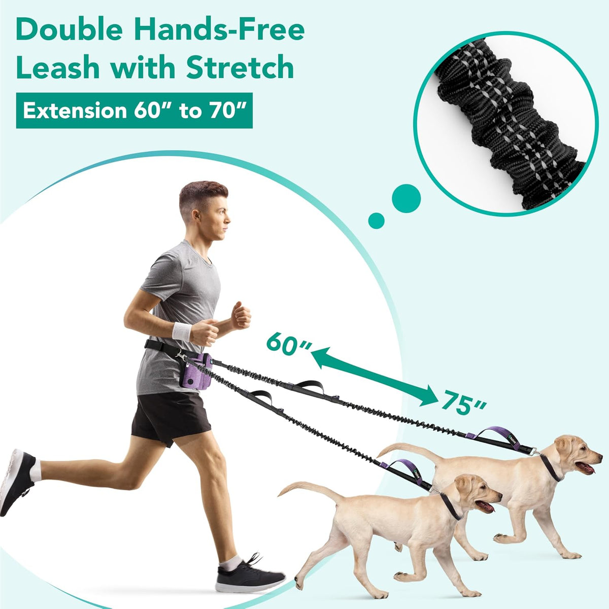 PetAmi Premium Hands Free Dog Leash for 2 Dogs - Purple / 2 Leashes - image 2
