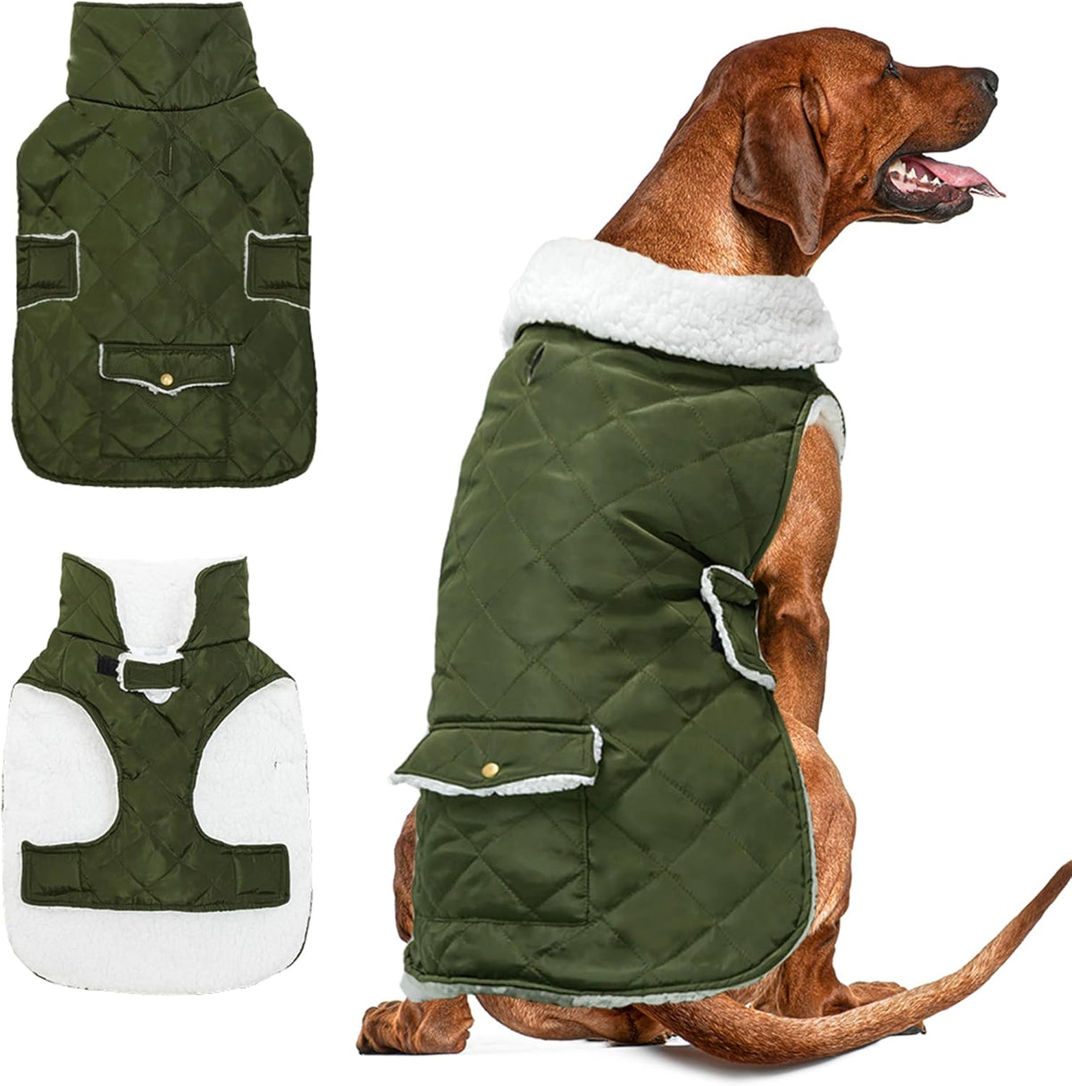 Dog Winter Coat for Cold Weather - Green / XX-Large