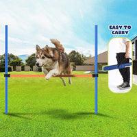 PAWISE Dog Agility Training Equipment