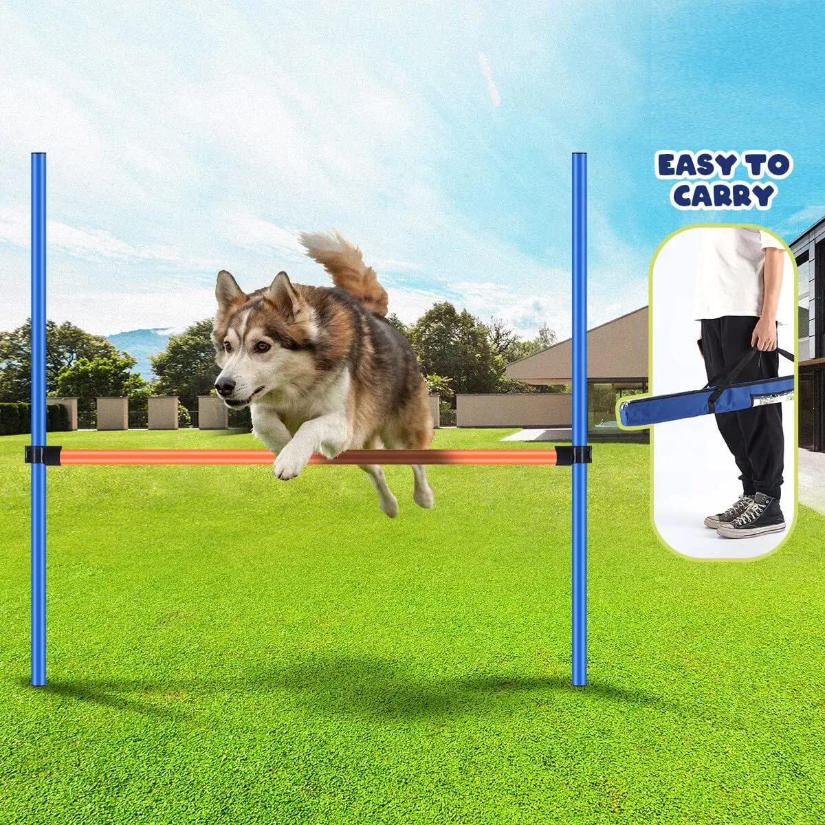 PAWISE Dog Agility Training Equipment
