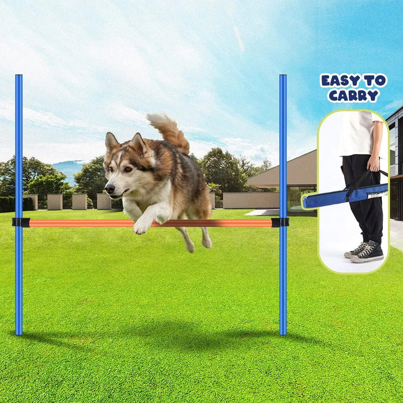 PAWISE Dog Agility Training Equipment