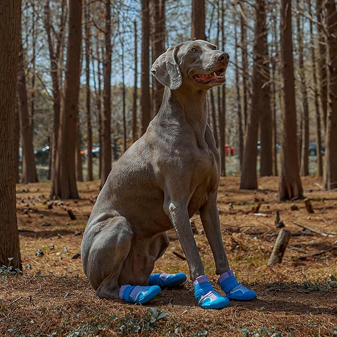 Dog Shoes, Waterproof Dog Boots & Paw Protectors with Anti-Slip Sole, 4pcs/Set Pet Dog Booties, Reflective Dog Shoes for Small Medium Large, Winter Snowy Summer Hot Pavement (Blue, 3# (XS))