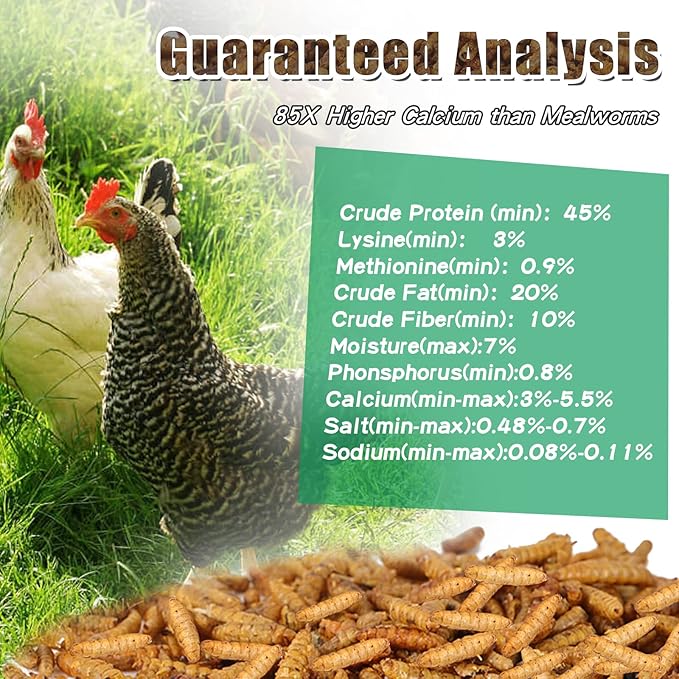 Dried Black Soldier Fly Larvae 10LBS, 85X More Calcium Than Mealworms High-Protein BSF Larvae Chicken Treats Non-GMO BSFL for Chickens, Hens, Ducks, Wild Birds