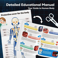 GobiDex Human Body Skeleton Model Kit - image 4