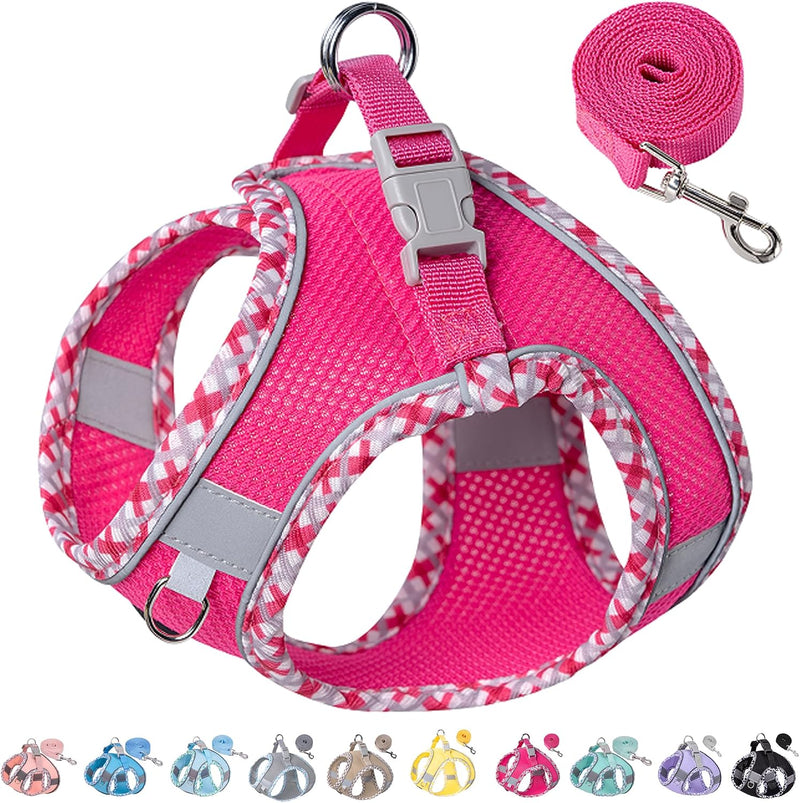 Petank Dog Harness for Small Medium Dogs No Pull - S / Rose Red