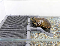Large Turtle Basking Platform for Aquatic Turtles – Essentials for Fish - Basking Platform 13.4" W × 7.7" D - image 3