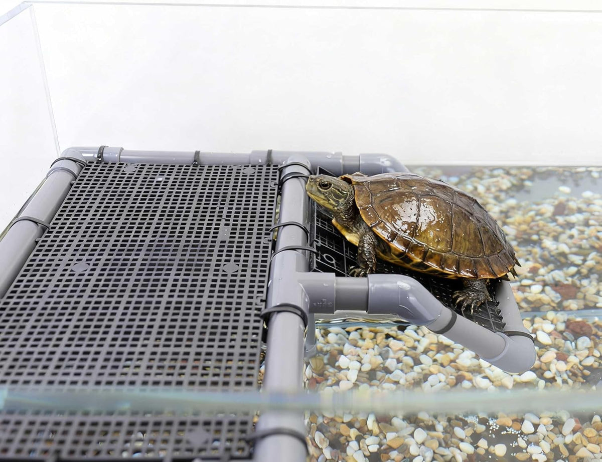 Large Turtle Basking Platform for Aquatic Turtles – Essentials for Fish - Basking Platform 13.4" W × 7.7" D - image 3