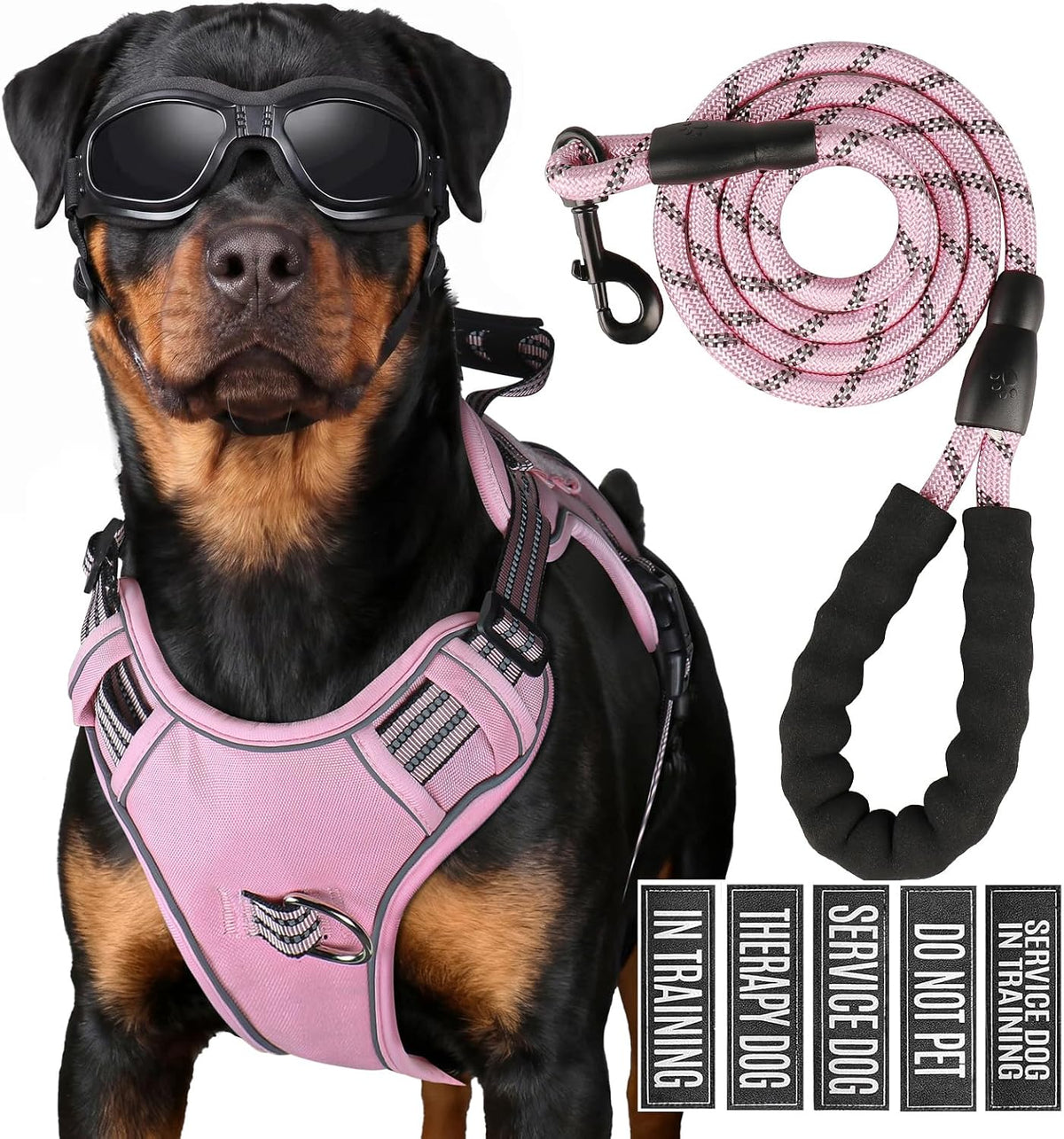 Dog Harness and Leash Set for Large Dogs - Pink / L
