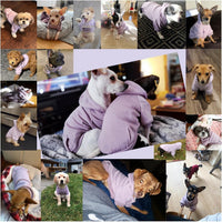 Soft Dog Hoodies for Small Dogs - Purple / XX-Small - image 4