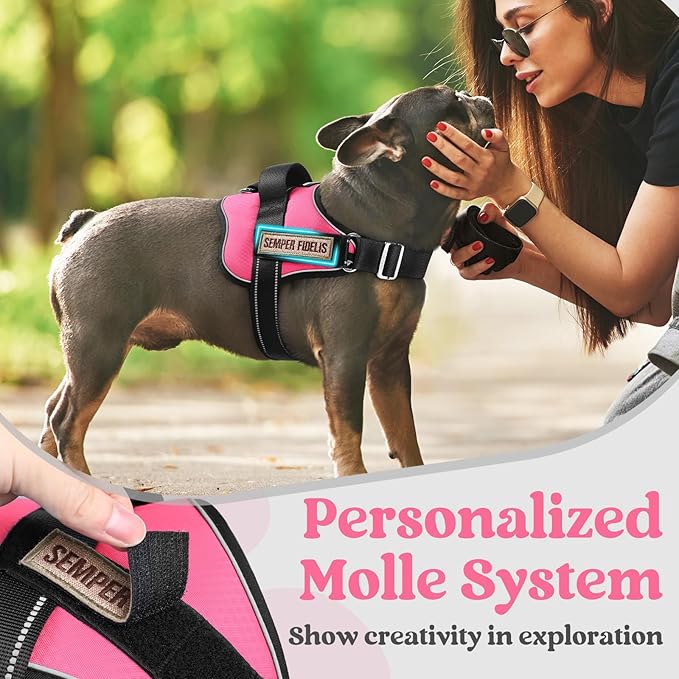 rabbitgoo Dog Harness for Small, Easy On Pet Vest with One Buckle, No Pull Adjustable Service Harness with D-Ring & Handle, Reflective for Safety Walking, Training, Pink, S