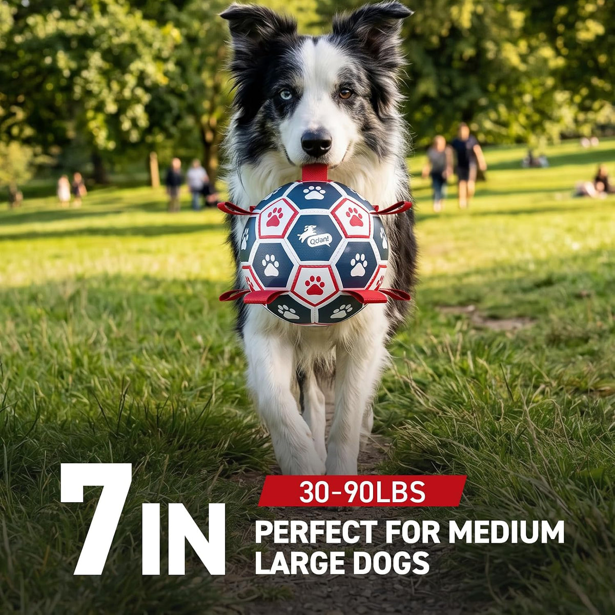 QDAN Dog Balls, Outdoor Dog Toys - Large Size 3 / Red-Blue - image 4