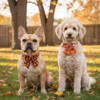ADOGGYGO Fall Plaid Dog Collar 2 Pack, Thanksgiving Dog Bow Tie - Medium / Fall Sailor Bow - image 3