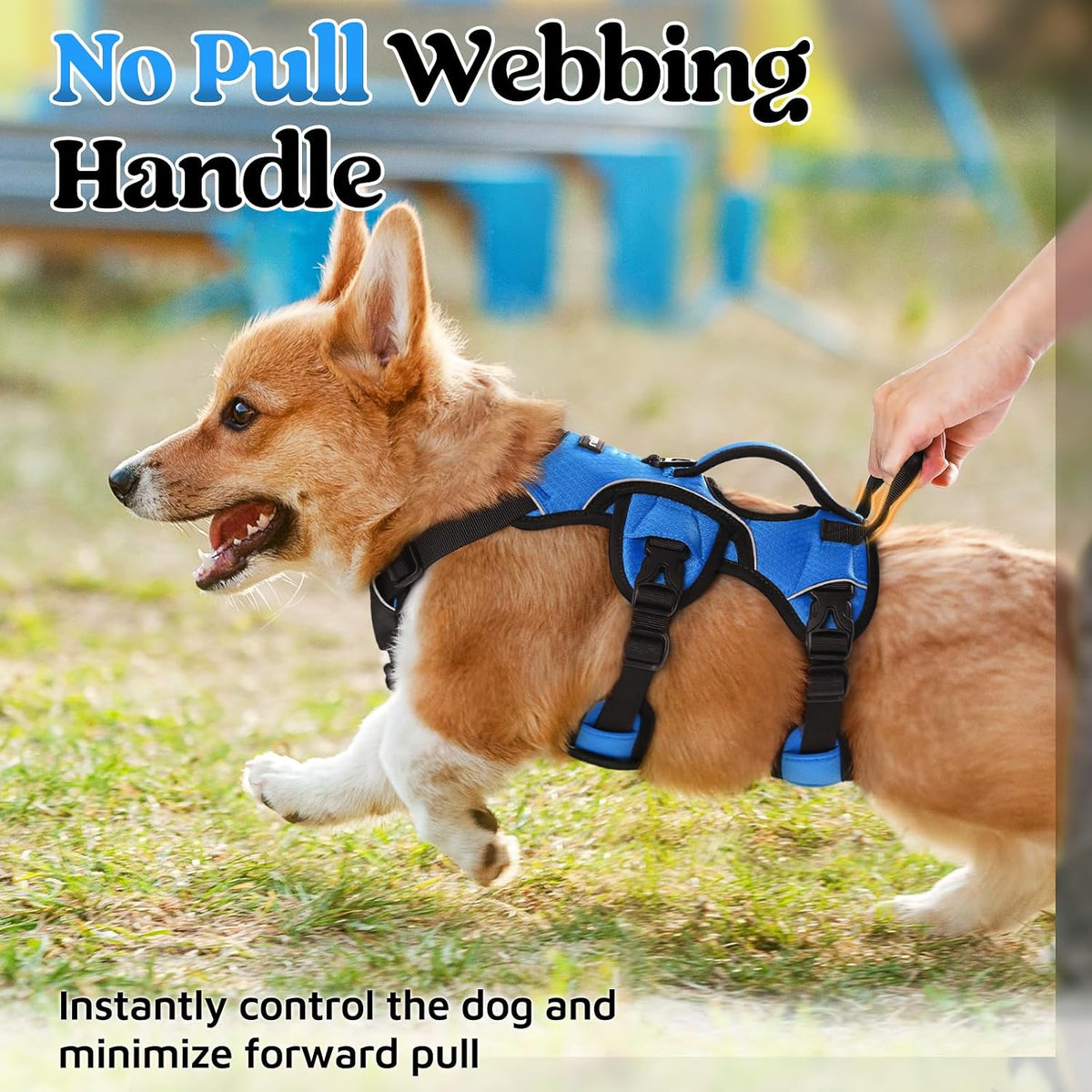 rabbitgoo Escape Proof Dog Harness for Large - Blue / Small - image 4