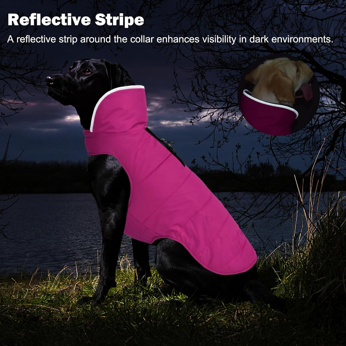 Waterproof Dog Winter Coat - Pink / 3XL(Chest Girth:33.9-42.9") - image 4