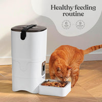 Smart Automatic Cat Feeder - image 4