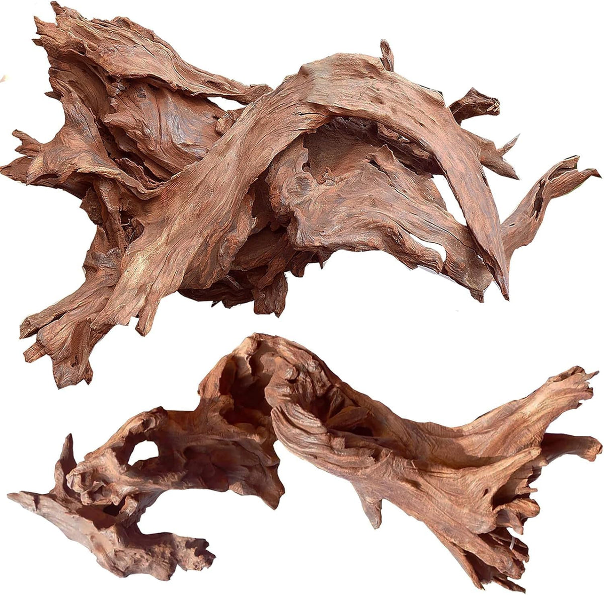 Natural Aquarium Driftwood for Fish Tank Reptile Terrariums Decor – Essentials for Fish - Mopani Driftwood 10 to 14 Inch (Pack of 2)