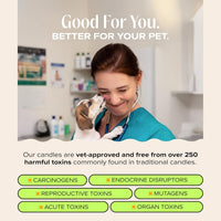 Nostalgia Pet-Friendly Scented Candle - You Got This - 11.8oz / You Got This! - image 3