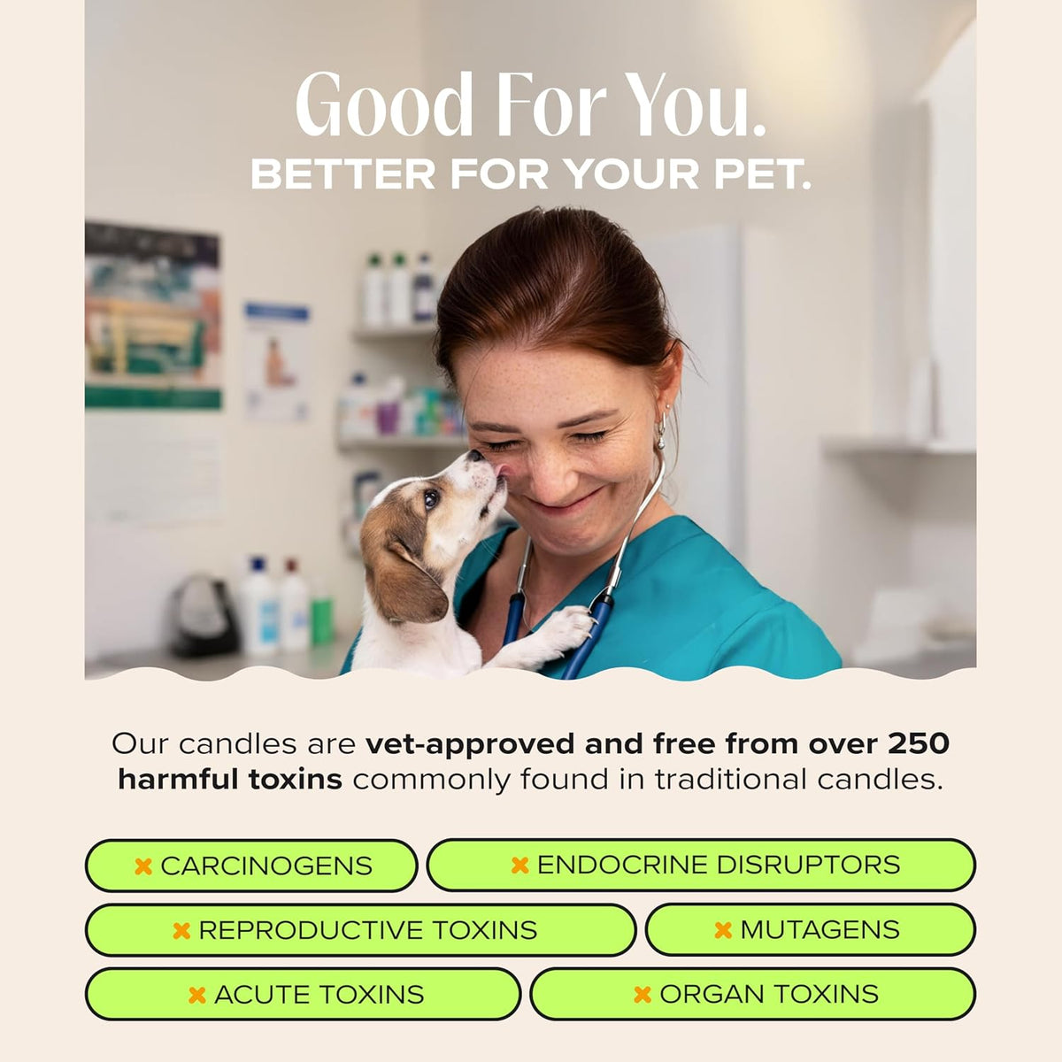 Nostalgia Pet-Friendly Scented Candle - You Got This - 11.8oz / You Got This! - image 3