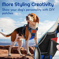 Eagloo Dog Harness for Large Dogs, Easy Wearing with 3 Buckles, Adjustable No Pull Pet Harness with 2 Rings for Walking, No Chock Reflective Soft Padded Vest with Control Handle, Blue & Black, L