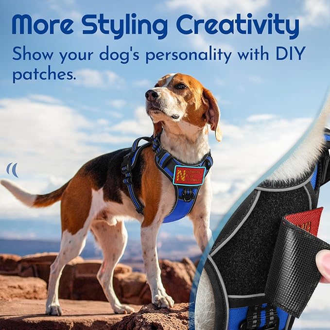 Eagloo Dog Harness for Large Dogs, Easy Wearing with 3 Buckles, Adjustable No Pull Pet Harness with 2 Rings for Walking, No Chock Reflective Soft Padded Vest with Control Handle, Blue & Black, XL